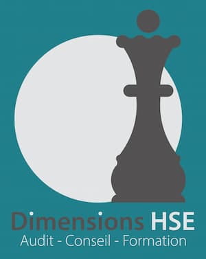 logo dimensions hse