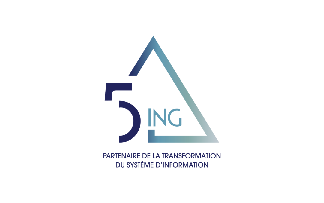 5ING CONSULTING