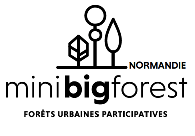 logo minibigforest