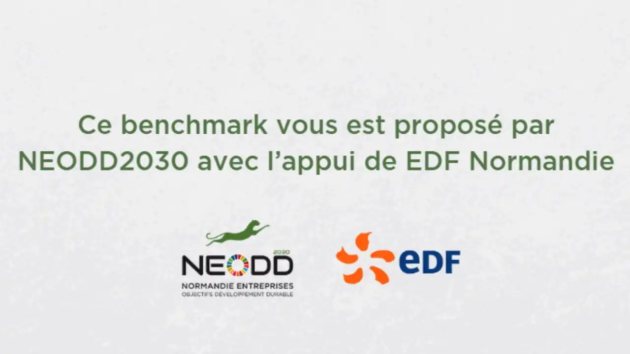 neodd2030 et edf