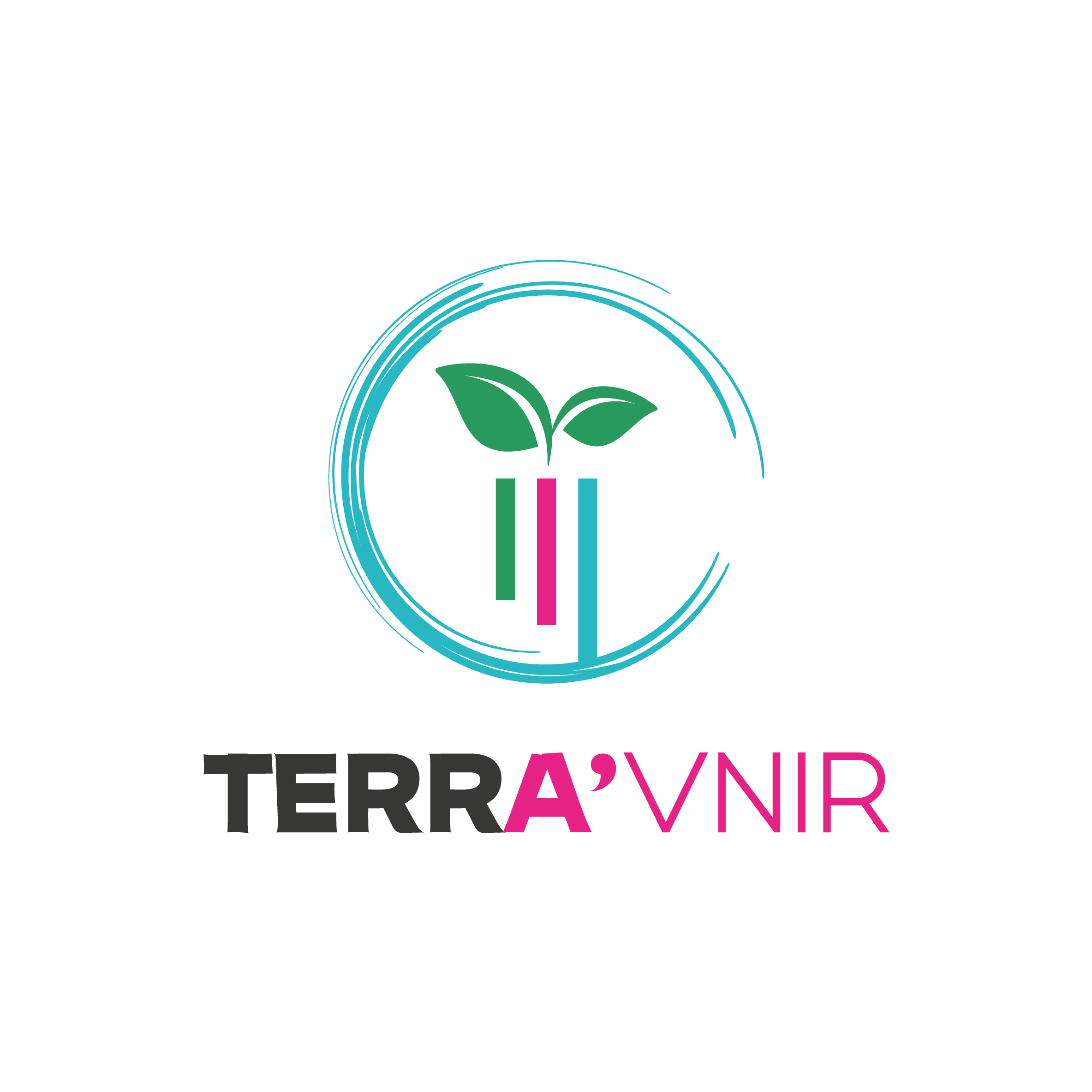 logo terra'vnir