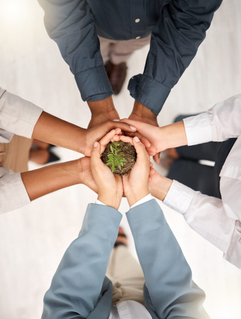 Groupe de personnes unissant leurs mains pour tenir une jeune plante dans de la terre, symbolisant la collaboration et l'engagement pour la durabilité et l'écologie